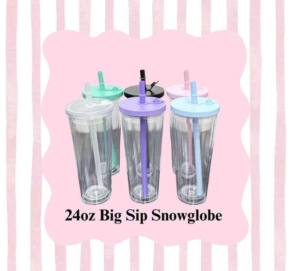 24oz Big Sip Snowglobe